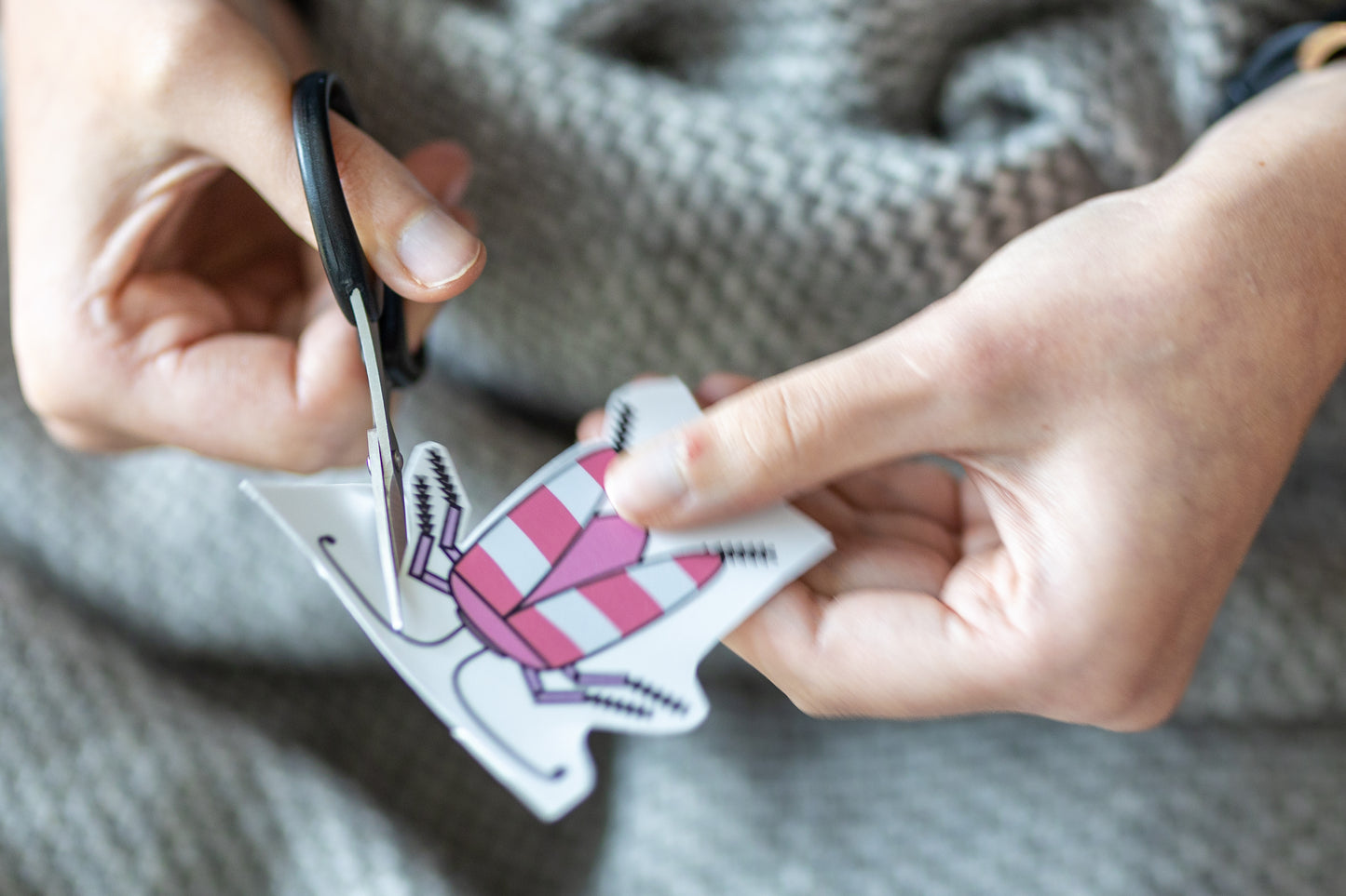 Sticker Pack "Bugs & Beetles" (5pcs)